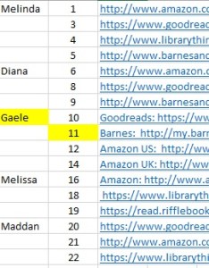 The Last Campaign incentive winner