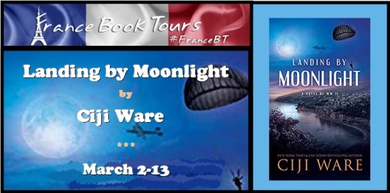 Landing by Moonlight - Banner