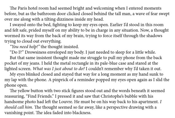 Book Beginning Falling For Provence