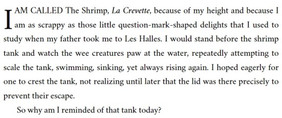 Victorine 1st chapter 1st para