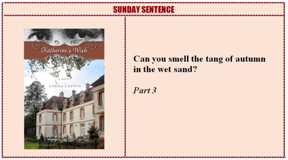 Katherine's Wish Sunday Sentence