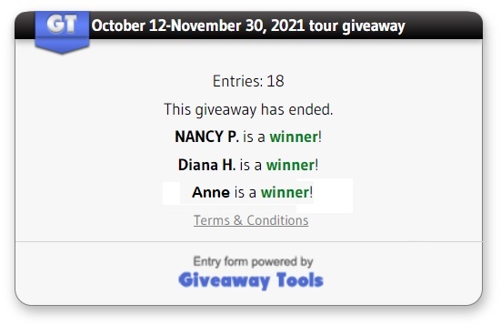 Double Identity winners